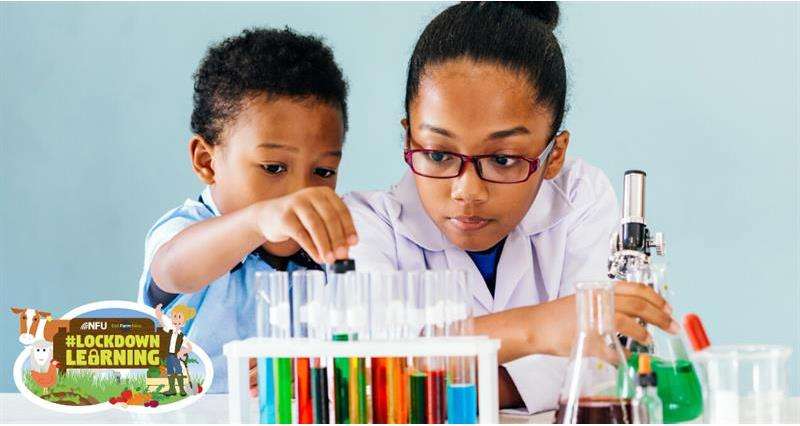 children doing science experiment