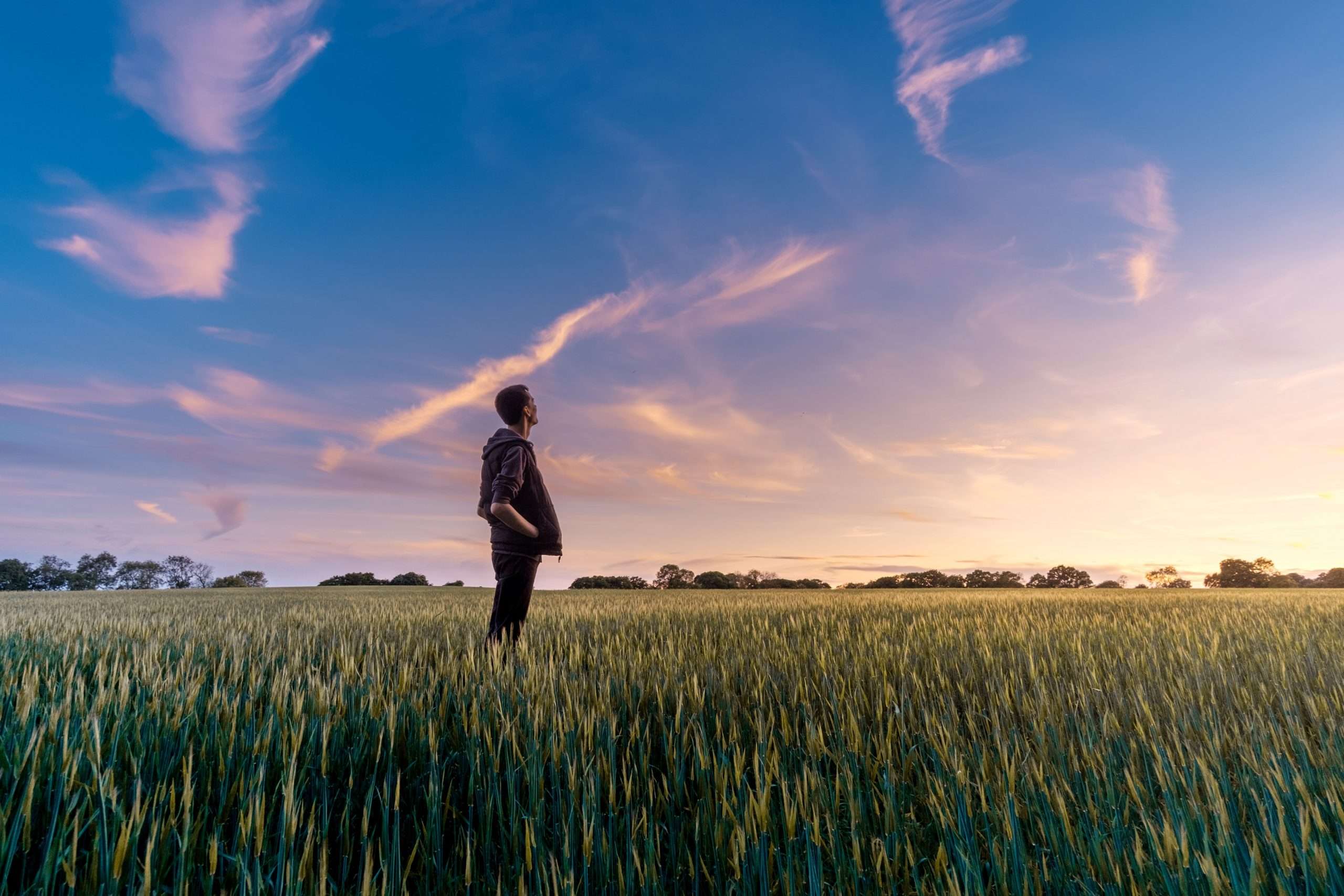 farmer looking at sunset over field